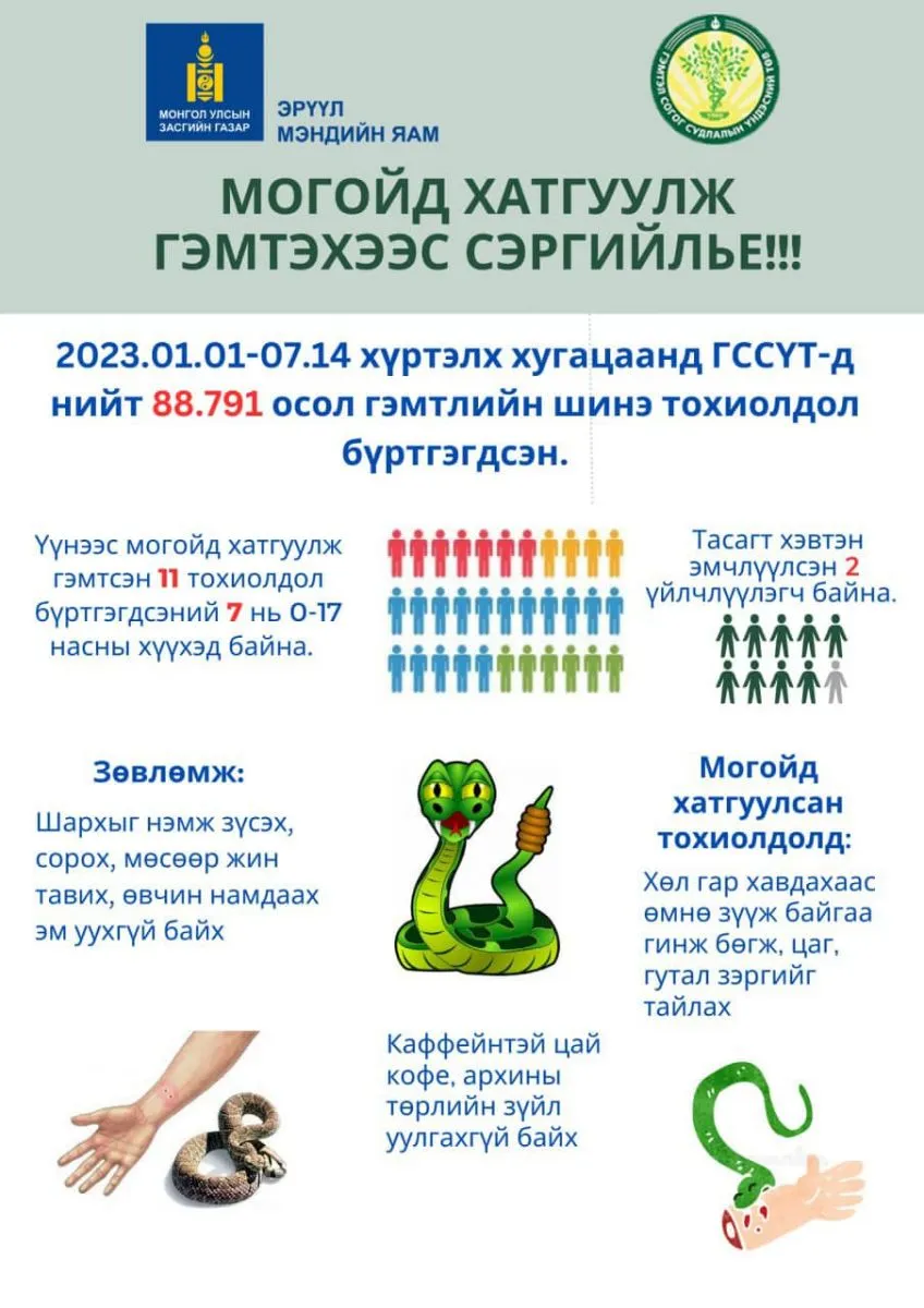 legacy:mogoi/361229835_832072738300005_744955292991175779_n.jpg