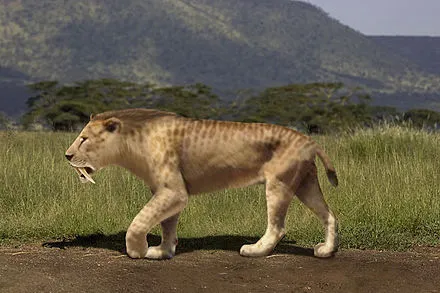 legacy:440px-Smilodon_populator_rec.jpg