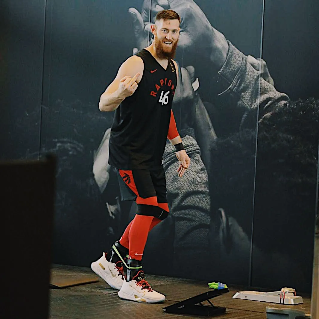 legacy:Амараа зураг/raptors3.jpg