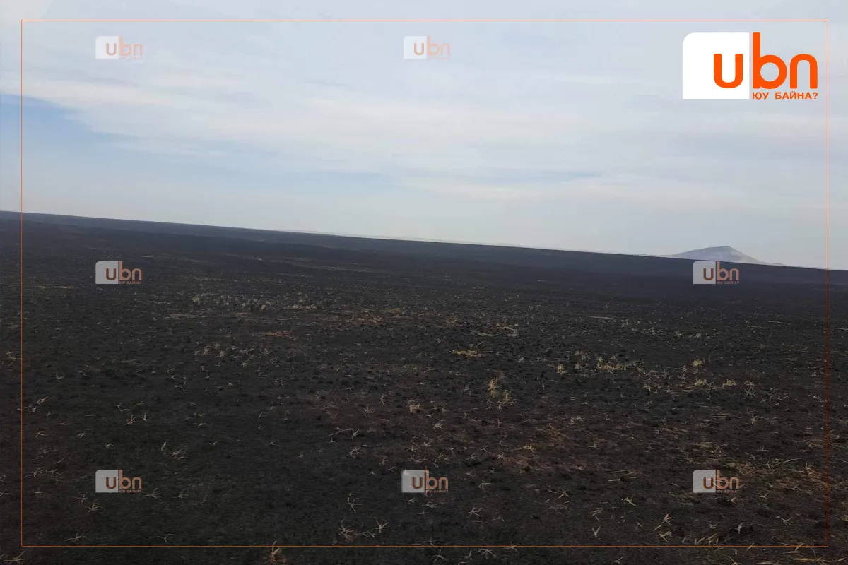 Дорнод, Хэнтий, Төв аймгийн нутагт гарсан түймрүүдийг бүрэн унтраалаа