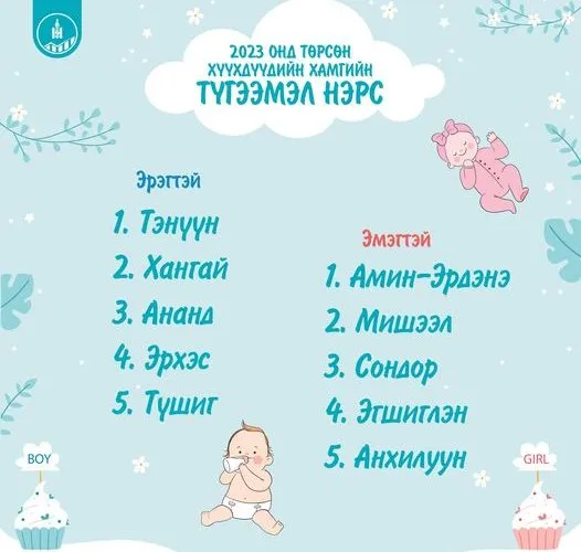 legacy:_shariljjj/Намуу/414728324_672308318390847_2279417054692154886_n-526x500.jpg