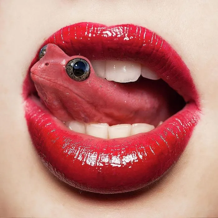legacy:upload/images/ni/2020/08/01/This-digital-artist-keeps-transforming-animals-into-anything-78-New-Pics-5f2114a9b7a4d__700-115259-1335220974.jpeg