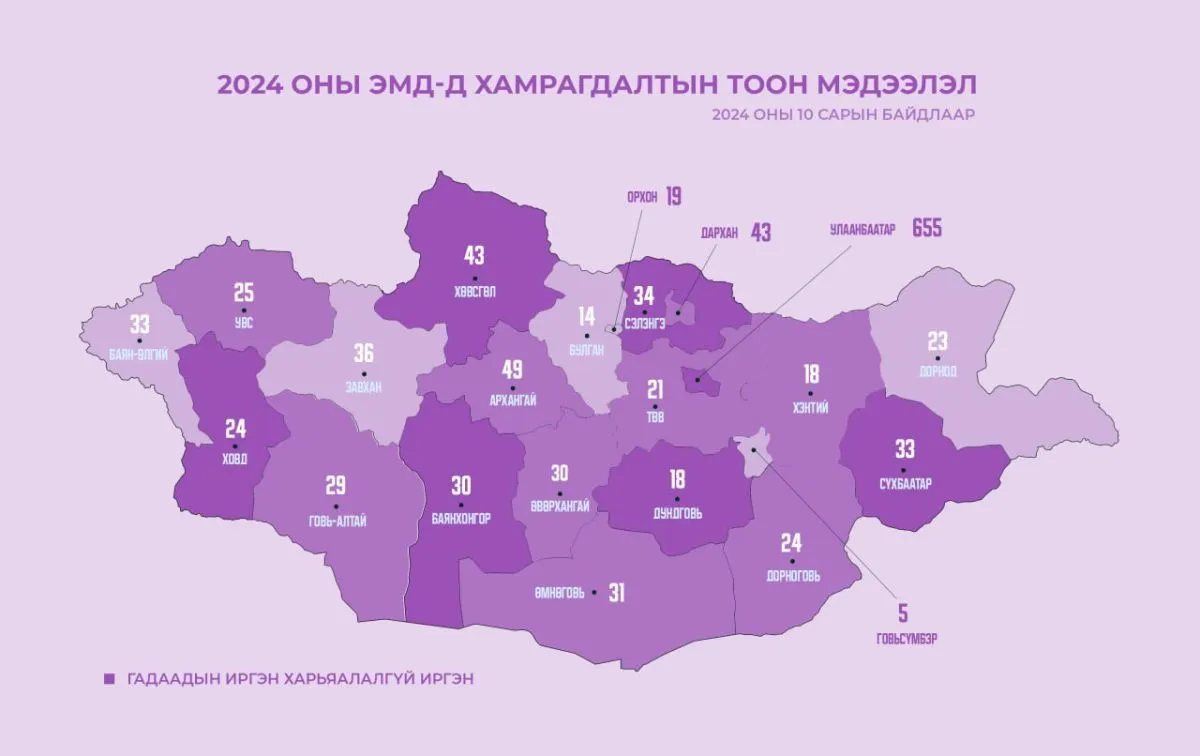 2024 оны эхний 10 сарын байдлаар 1247 гадаадын иргэн ЭМД-д хамрагджээ