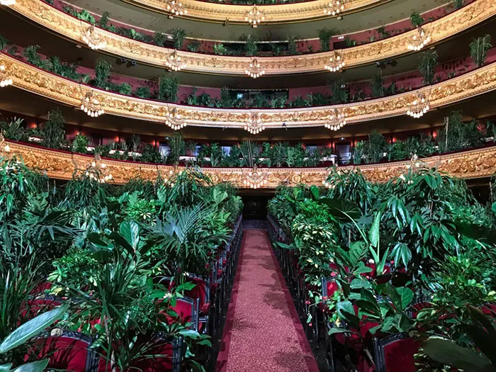 legacy:upload/images/ni/2020/06/25/barcelona-opera-house-reopens-plays-to-plants-47-161741-1010299908.jpeg