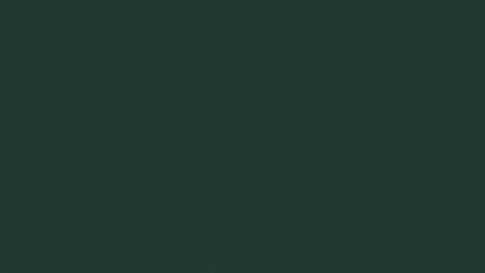 legacy:Tsagaan sar buh stats/Gif/9.gif