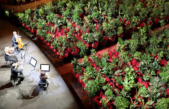 legacy:upload/images/ni/2020/06/25/barcelona-opera-house-reopens-plays-to-plants-56-162103-644499448.jpeg