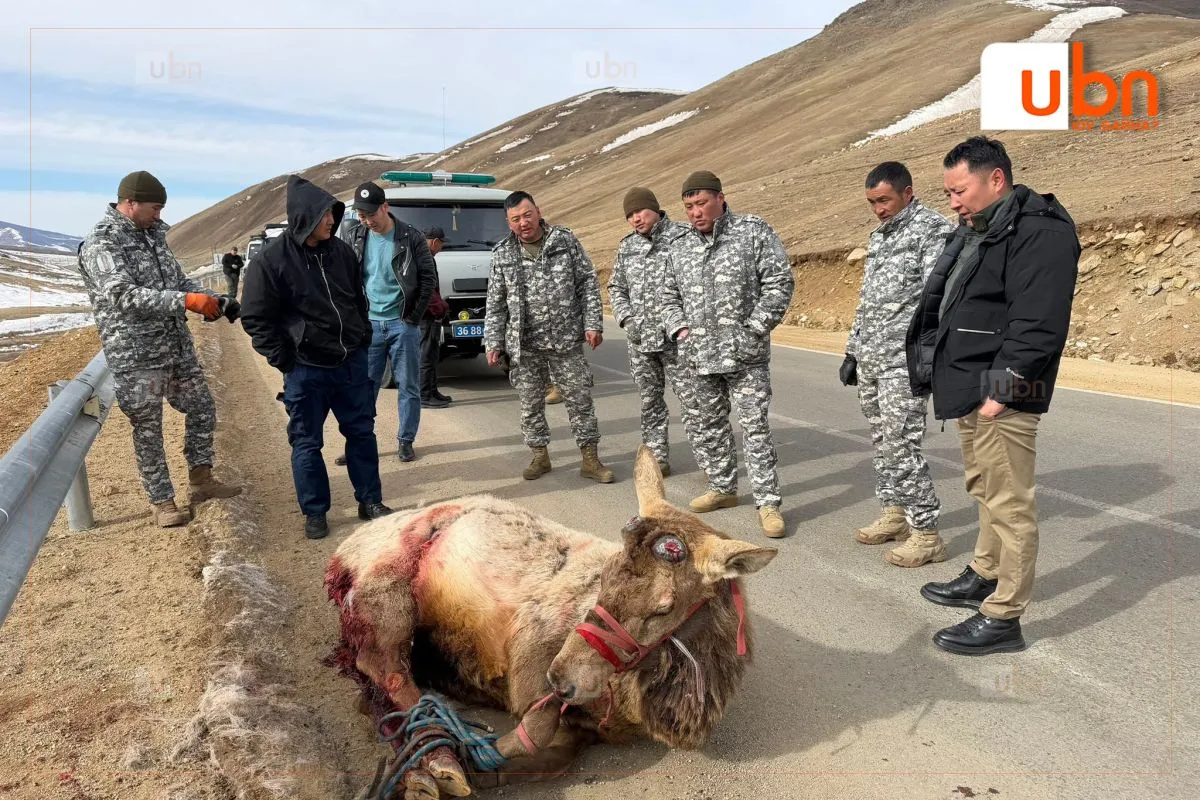 legacy:buga tsagaan zeer/buga22.jpg