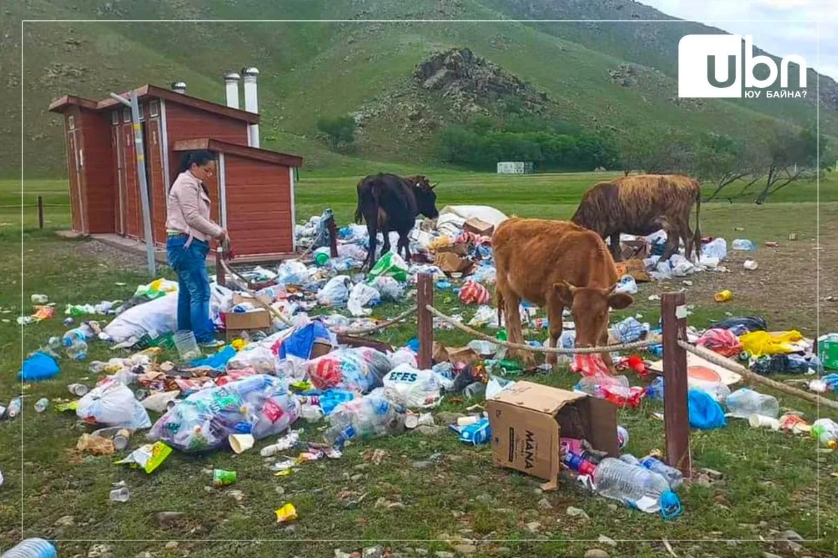 legacy:8  4/327а/hog haygdal.jpg