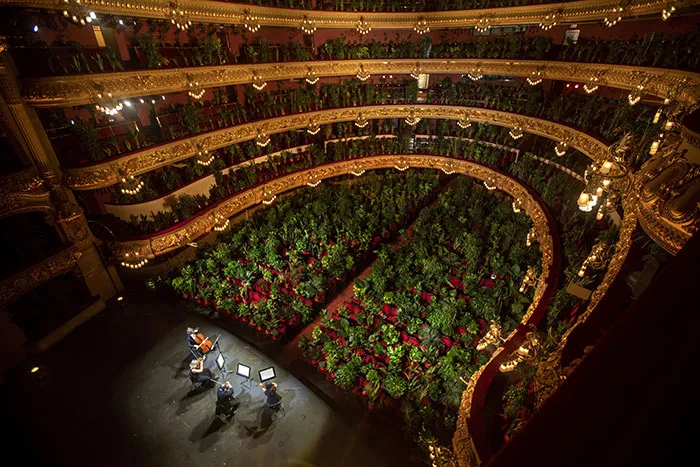 legacy:upload/images/ni/2020/06/25/barcelona-opera-house-reopens-plays-to-plants-57-162114-888719301.jpeg