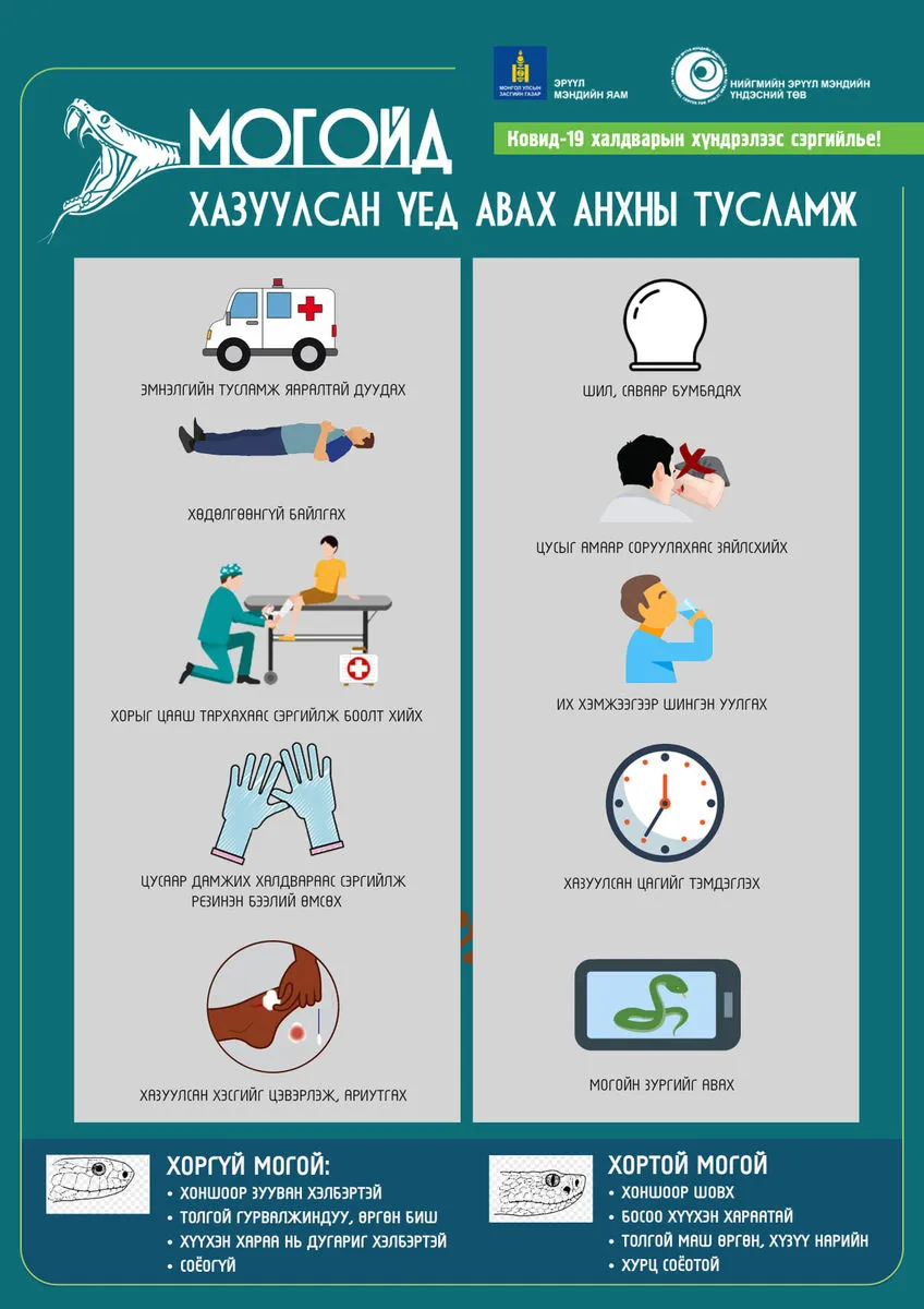 legacy:ads/ааа/237862172_1367834726965239_8034671578560684146_n.jpg