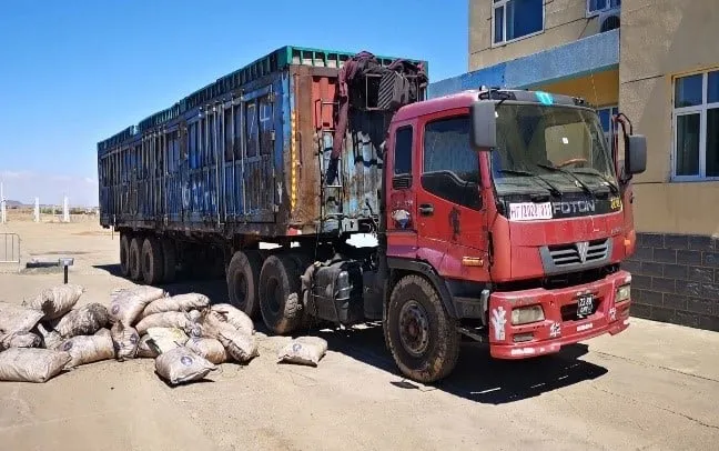 Дэрвэгэр жиргэрүүгийн 680 кг үндэс хилээр гаргахыг завджээ