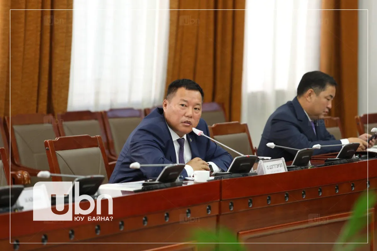 АН-ын бүлэг: Хөрөнгө оруулалтын болон ХАҮТ-ын тухай хуулийг төслийг дэмжив