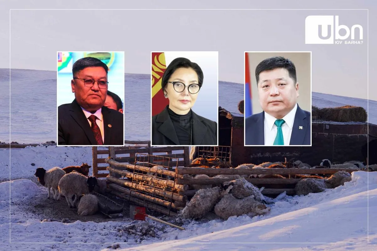 ТОДРУУЛГА: Сүхбаатар аймгийн бүх сумд МӨСӨН ЗУД нүүрлэсэн бол Дорноговь аймагт 176.6 мянган мал хорогджээ. Төв аймаг нөөцөлсөн өвс, тэжээлийнхээ 90 хувийг зарцуулаад байна