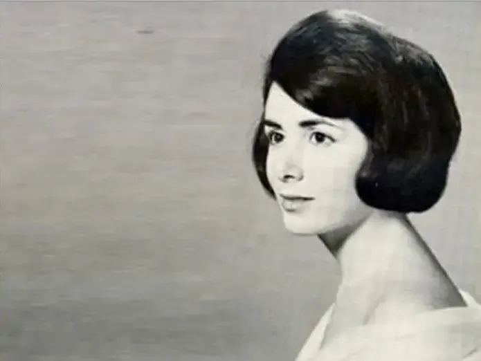 legacy:Nancy Pelosi/Facelook/1.jpg