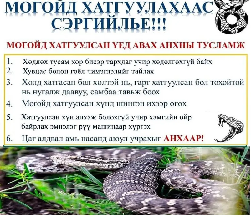 legacy:gemtliin emneleg/3vqid.jpg