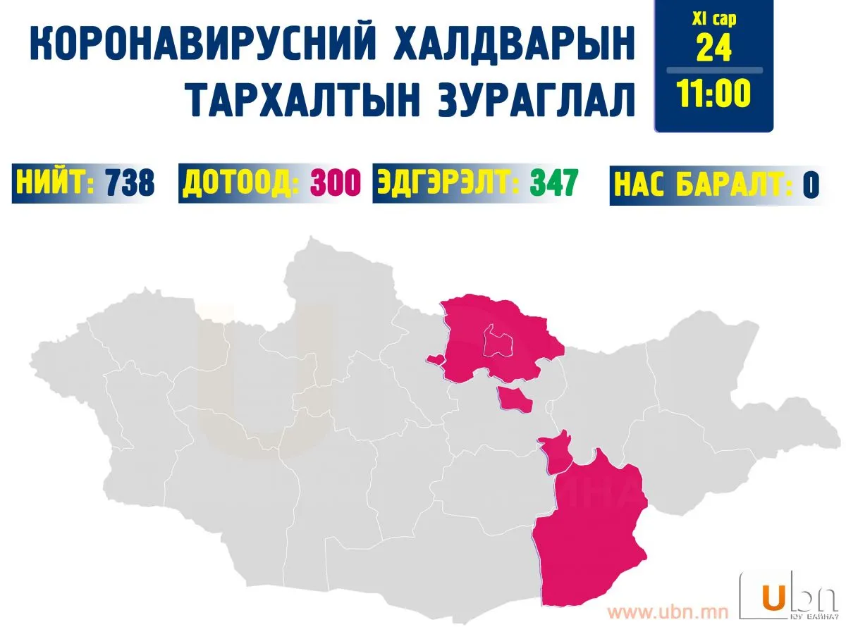 Дотоодод илэрсэн тохиолдол 300 боллоо