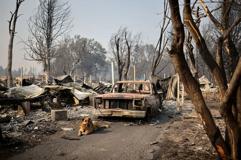 legacy:resources/images/photo_content/07-2020-09-18-174234-1810177819.jpeg