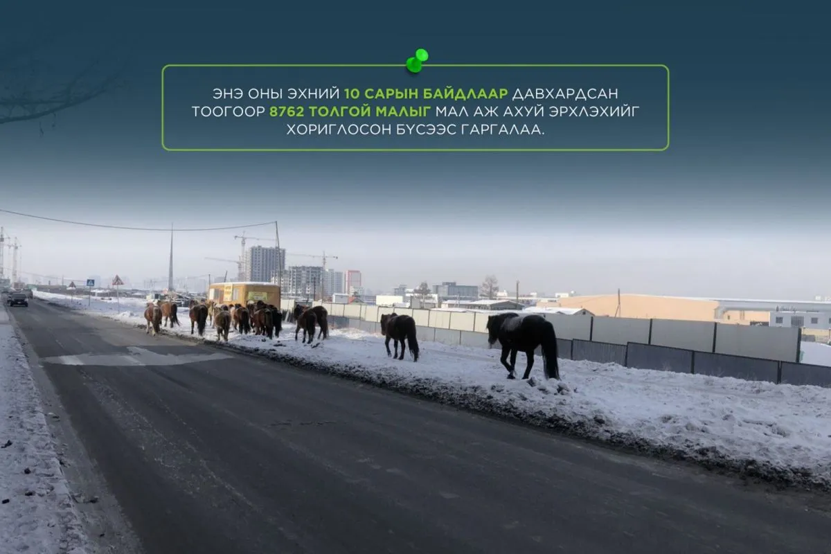 Мал аж ахуй эрхлэхийг хориглосон бүсээс малаа гаргаагүй иргэн, ААН-ыг Зөрчлийн тухай хуулиар торгох зохицуулалттай