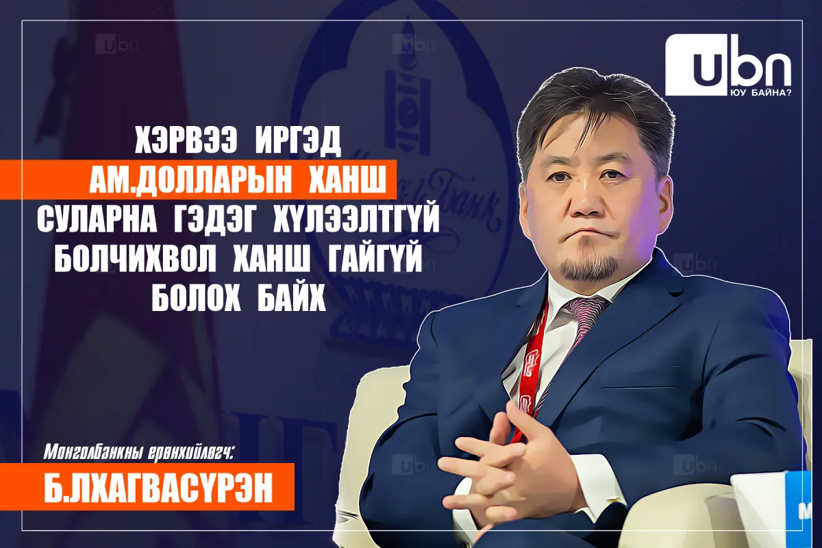 Б.Лхагвасүрэн: Хэрвээ иргэд ам.долларын ханш суларна гэдэг хүлээлтгүй болчихвол ханш гайгүй болох байх