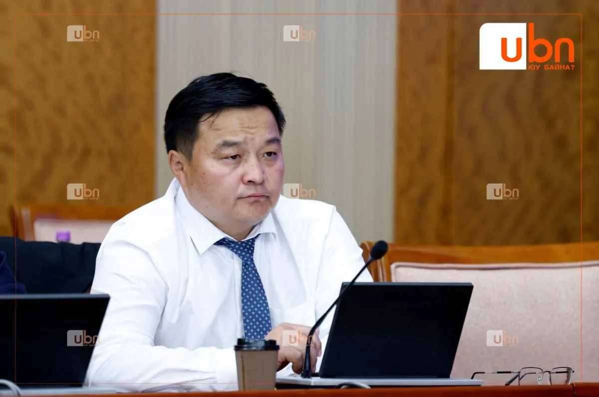 Р.Сэддорж: Утасны төлбөрөө ганц сар төлөөгүйн төлөө эрсдэлтэй зээлдэгч болгодог ийм харгис байж болохгүй