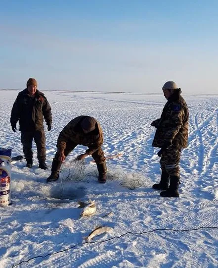 Байгаль хамгаалагчид 270 загас нууранд буцаан тавив
