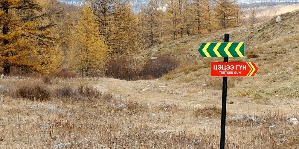 Цэцээ гүн рүү авирсан 33 настай иргэн сураггүй болжээ