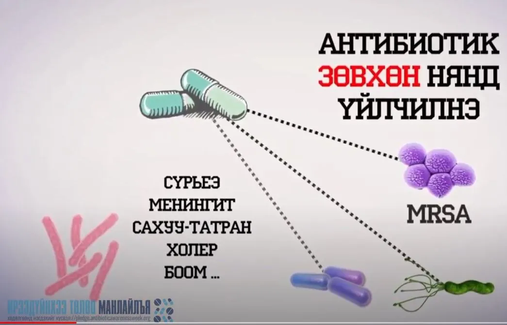 Вирусний гаралтай өвчинд антибиотик үйлчилдэггүй