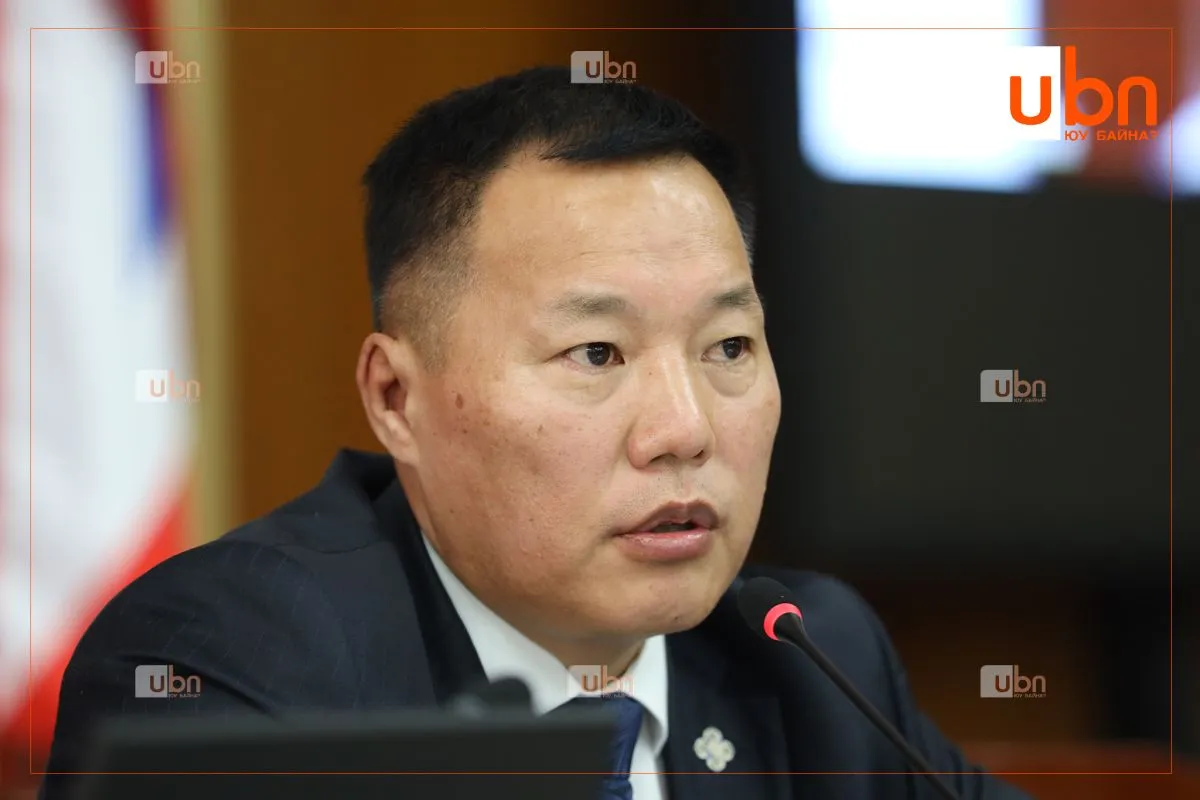 АН: Улс төрийн намын тухай хуулийг хэрэгжилтийг 2027 он хүртэл хойшлуулахыг дэмжихгүй