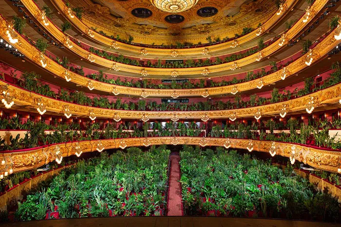 legacy:upload/images/ni/2020/06/25/barcelona-opera-house-reopens-plays-to-plants-49-161753-1985569862.jpeg