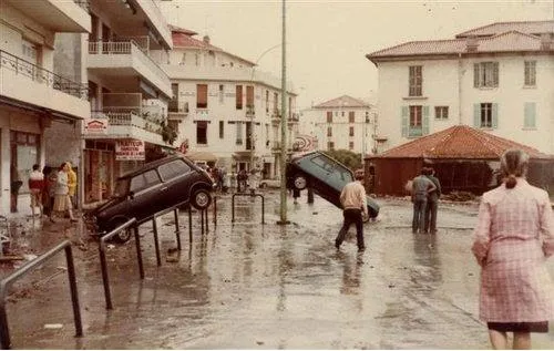 legacy:upload/images/ni/2020/11/05/tsunami - cars-160127-1923623348.jpeg