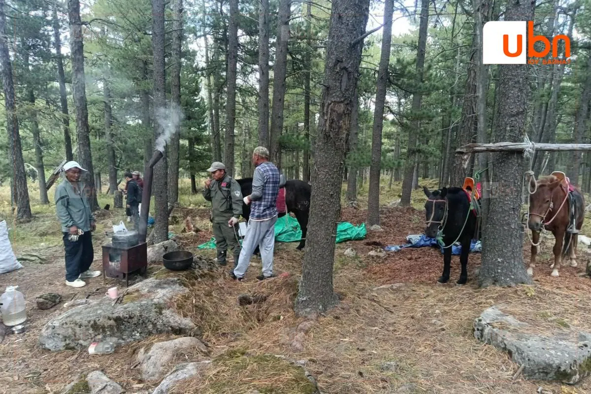 legacy:2026/09/ariunjargal/samarchid.jpg