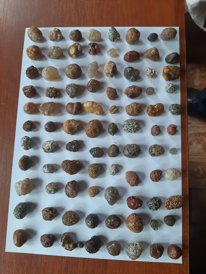 Зөвшөөрөлгүйгээр 50кг говийн өнгөт чулуу тээвэрлэсэн зөрчил илэрчээ