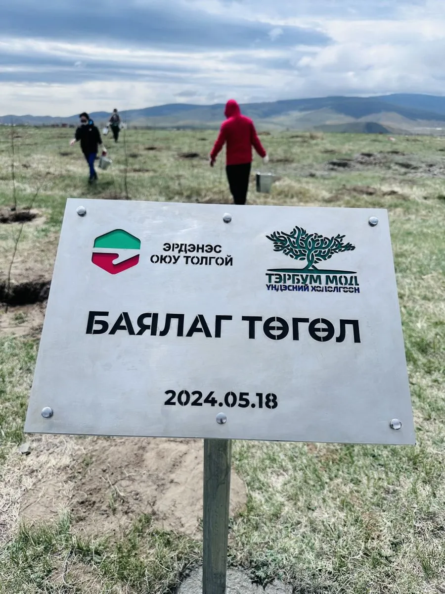 “Эрдэнэс Оюу Толгой” ХХК-ийн албан хаагчид “БАЯЛАГ” бичил төгөл байгууллаа