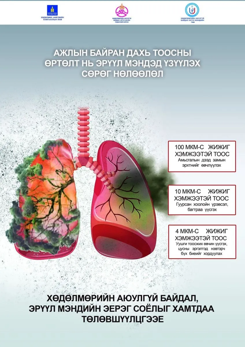 Ажлын байран дахь тоосны өсөлт нь эрүүл мэндэд үзүүлэх сөрөг нөлөөлөл гэж юу вэ