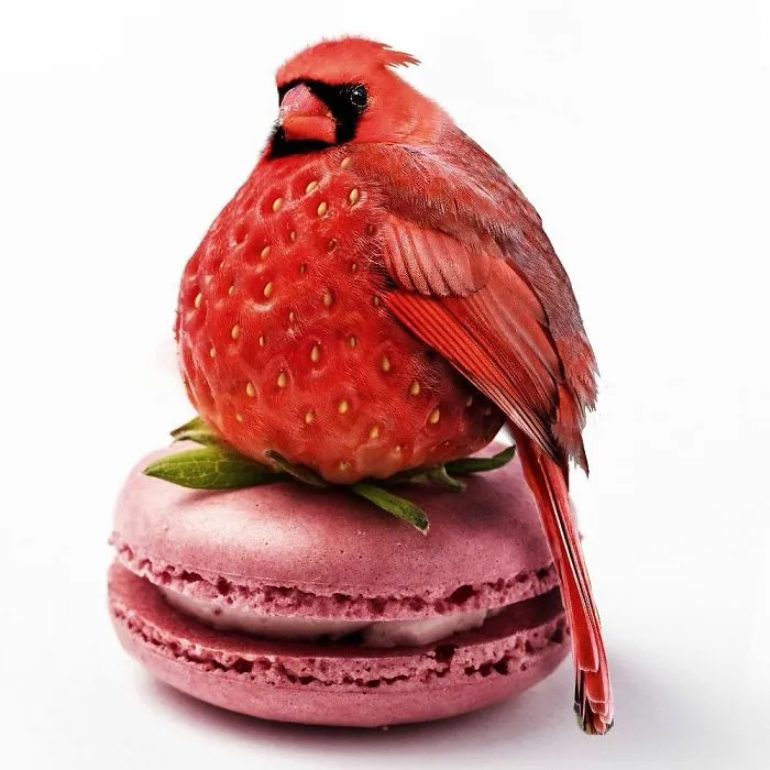 legacy:upload/images/ni/2020/08/01/This-digital-artist-keeps-transforming-animals-into-anything-78-New-Pics-5f2116370004e__700-120252-66587291.jpeg