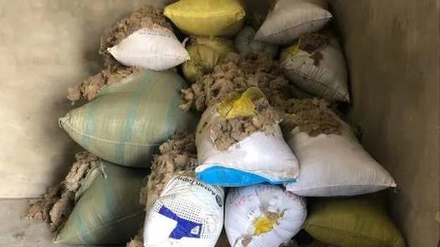 BBC: Монголын түүхий ноолуурын нийлүүлэлтийг хянах зорилгоор аппликейшн бүтээж байна