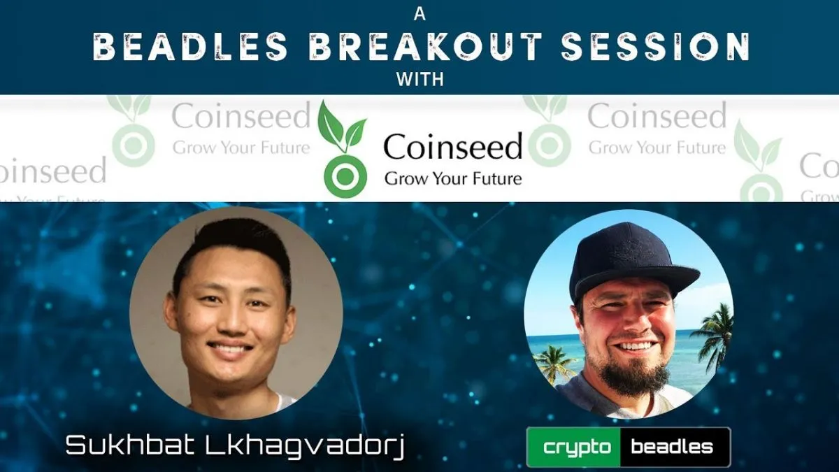 Крипто валют залилан үйлдсэн Coinseed сайтад Монгол залуус ажилладаг байжээ