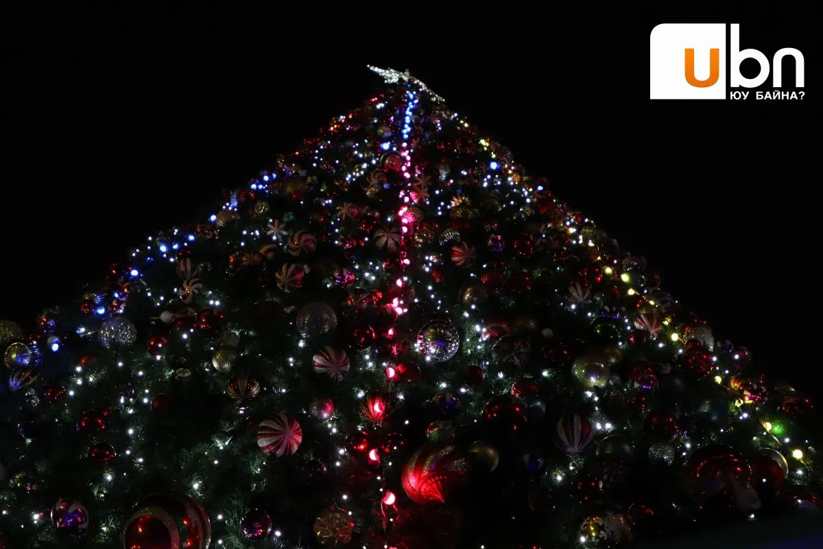 legacy:Амараа зураг/Christmas trees on street/2.jpg