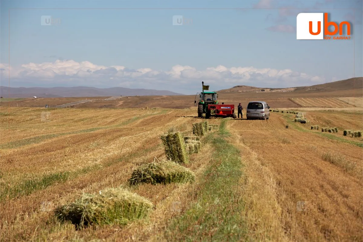 Есдүгээр сард хөрсөн дээр цочир хүйтрэх тул ургац хураалтын ажлаа цаг агаартай уялдуулан төлөвлөх хэрэгтэй