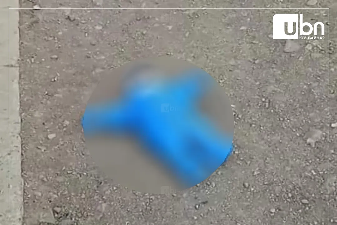 “Нярайг хамгаалах байранд угжаар хооллож, асарч байна“