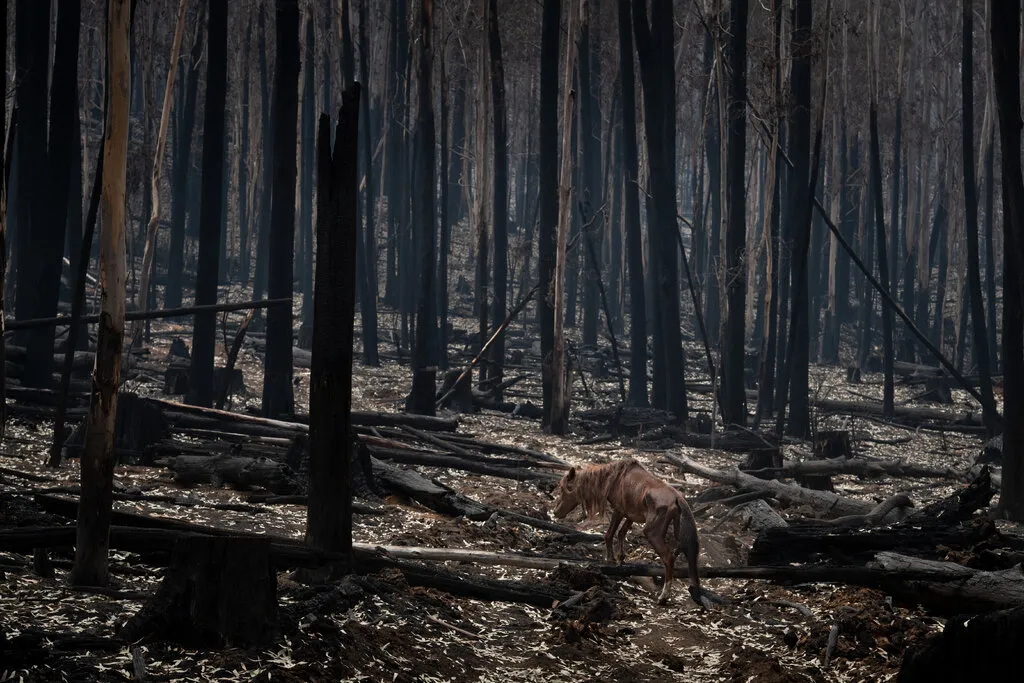 legacy:Амараа зураг/2020 nyt/YIP2020-JANUARY-slide-739F-jumbo.jpg