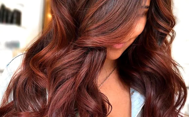 legacy:upload/images/ni/2020/10/17/brown-hair-with-red-highlights-020402-242374810.jpeg