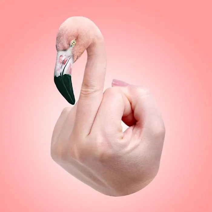 legacy:upload/images/ni/2020/08/01/This-digital-artist-keeps-transforming-animals-into-anything-78-New-Pics-5f21136c1b53d__700-115514-1727266421.jpeg