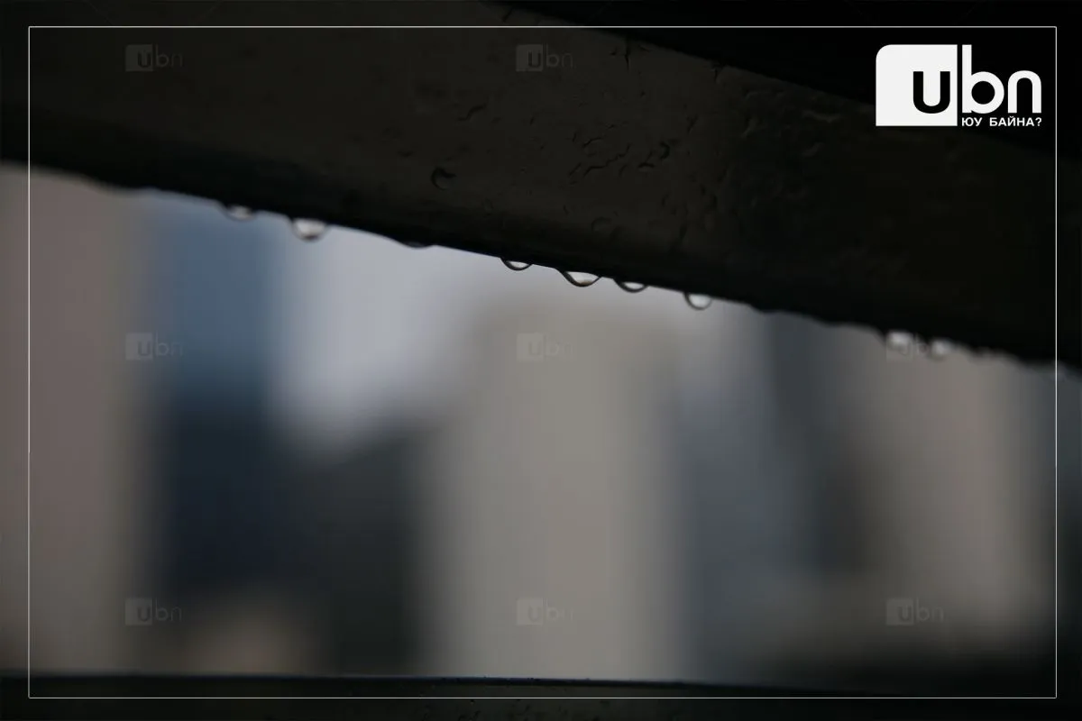 legacy:2025/08/bo1.jpg