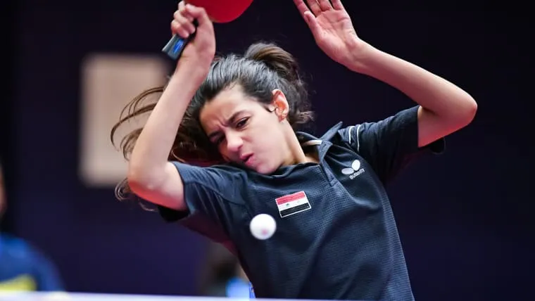 legacy:hereglesen zurag/Hand Zaza by type of table tennis.jfif