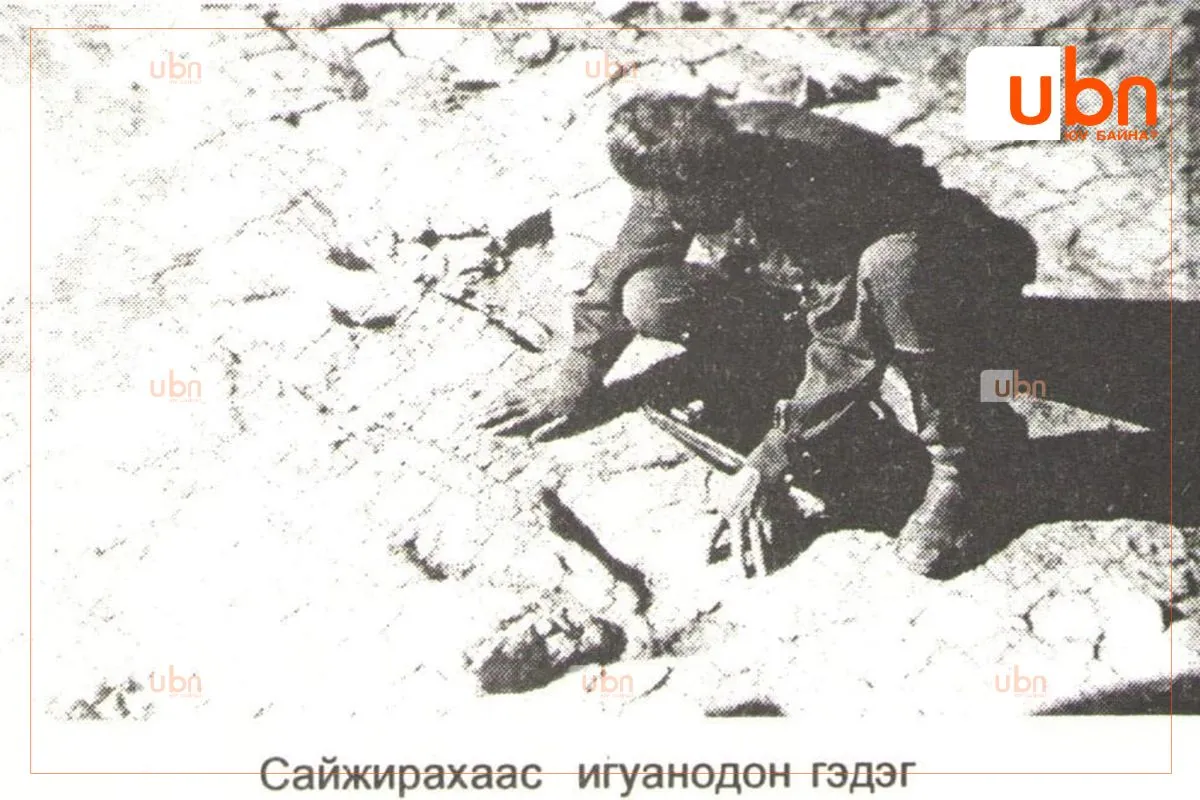 legacy:_shariljjj/12/uleg gurvel/2.jpg