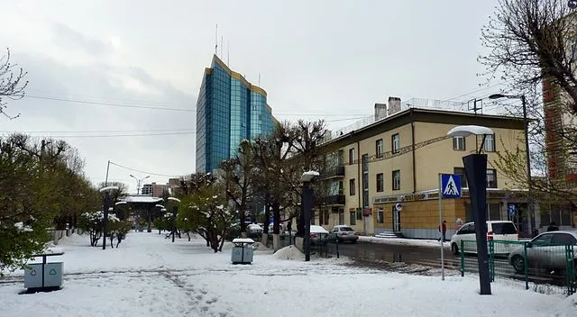 Маргааш цасан шуурга шуурна