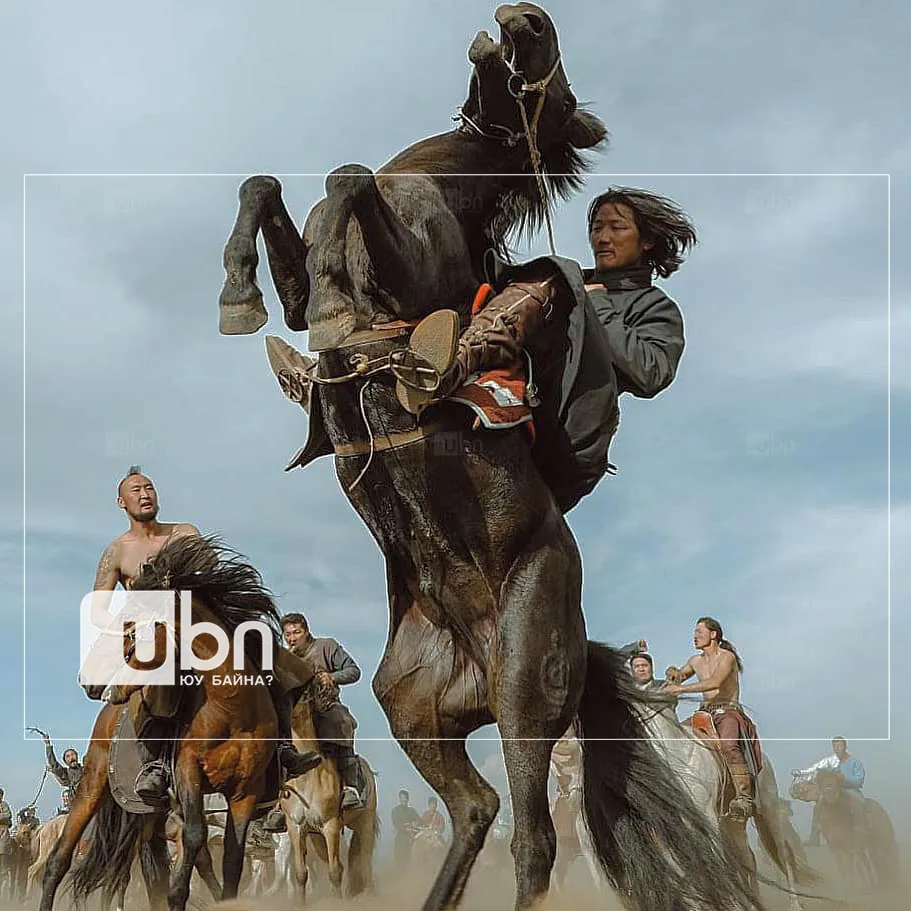 legacy:Умаахан зураг/наадам copy.jpg