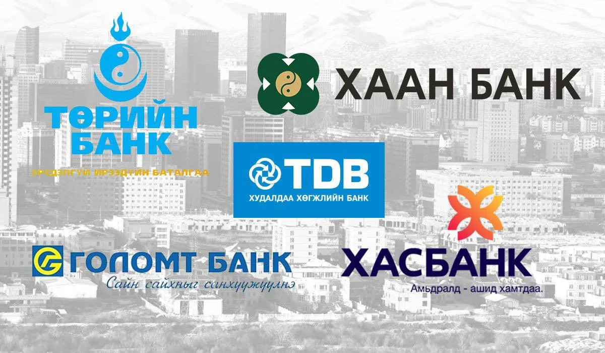 Сайн дурын даатгуулагчдын төлсөн шимтгэл төлөлтийг банкнаас зээл авахад орлого нотлох нотолгоо болгодог болгох хүсэлтийг банкуудад хүргүүлжээ