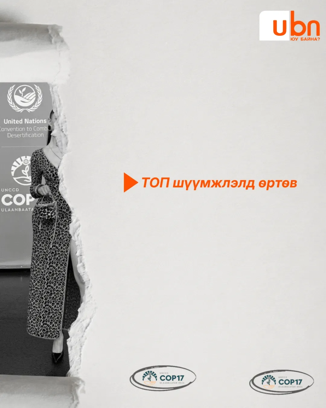 legacy:Visual Toim/copvisualgif/top.gif
